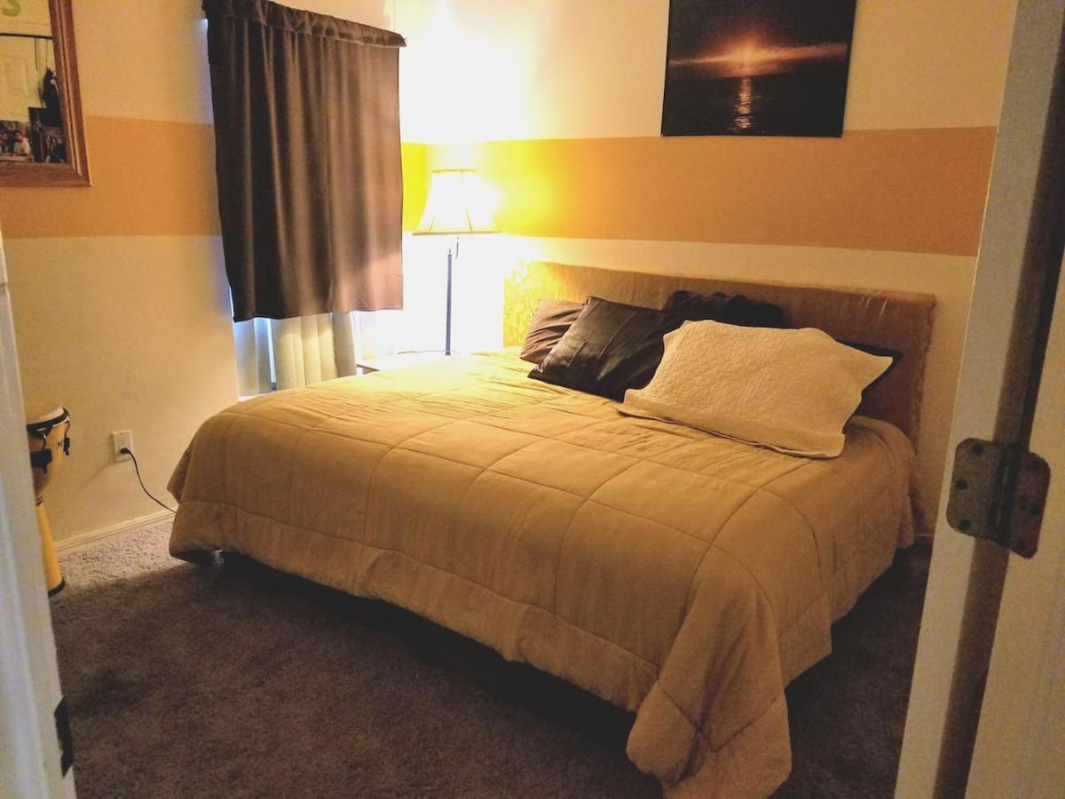 Cozy And Conveniently Located Pool Home With Free Wifi Tampa Luaran gambar